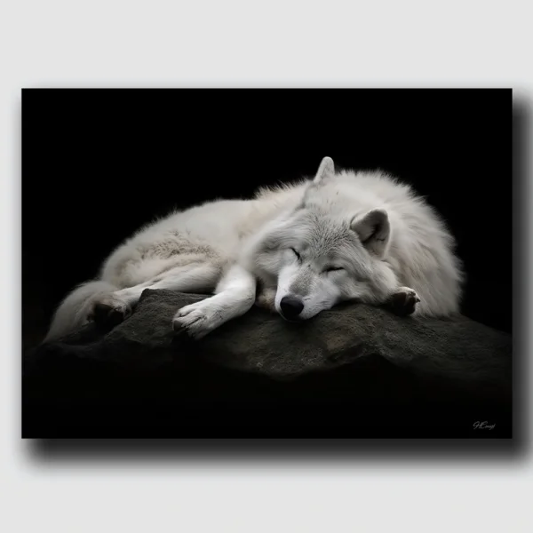 white wolf